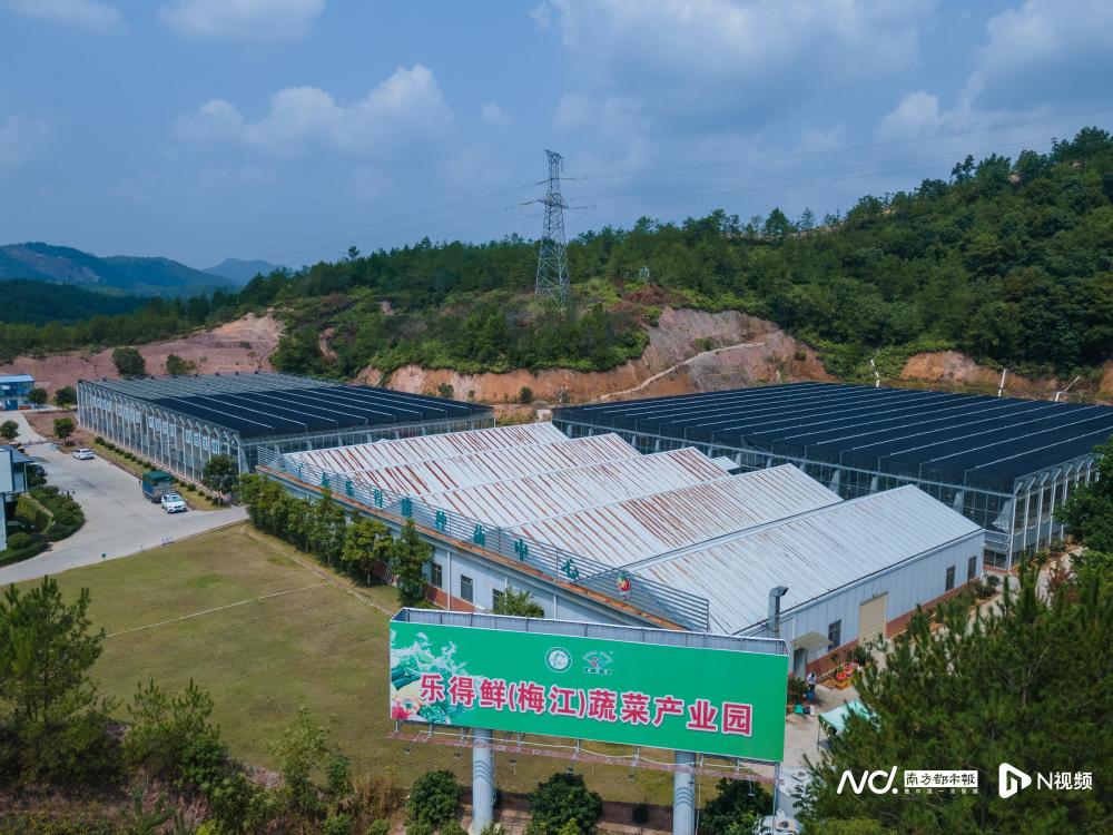 打造客家菜预制菜产业园!梅州:农产品深加工延长产业链价值